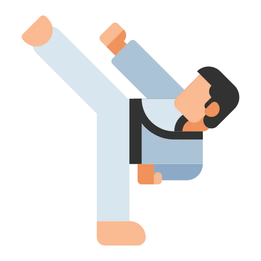 Mixed Martial Arts